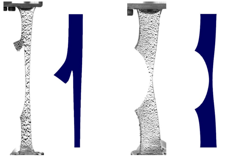 FAU study shows that the cross-linking between the polymer molecules is a key fracture in soft fracture mechanics